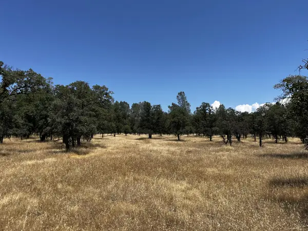 Wilson Hill Road, Manton, CA 96059