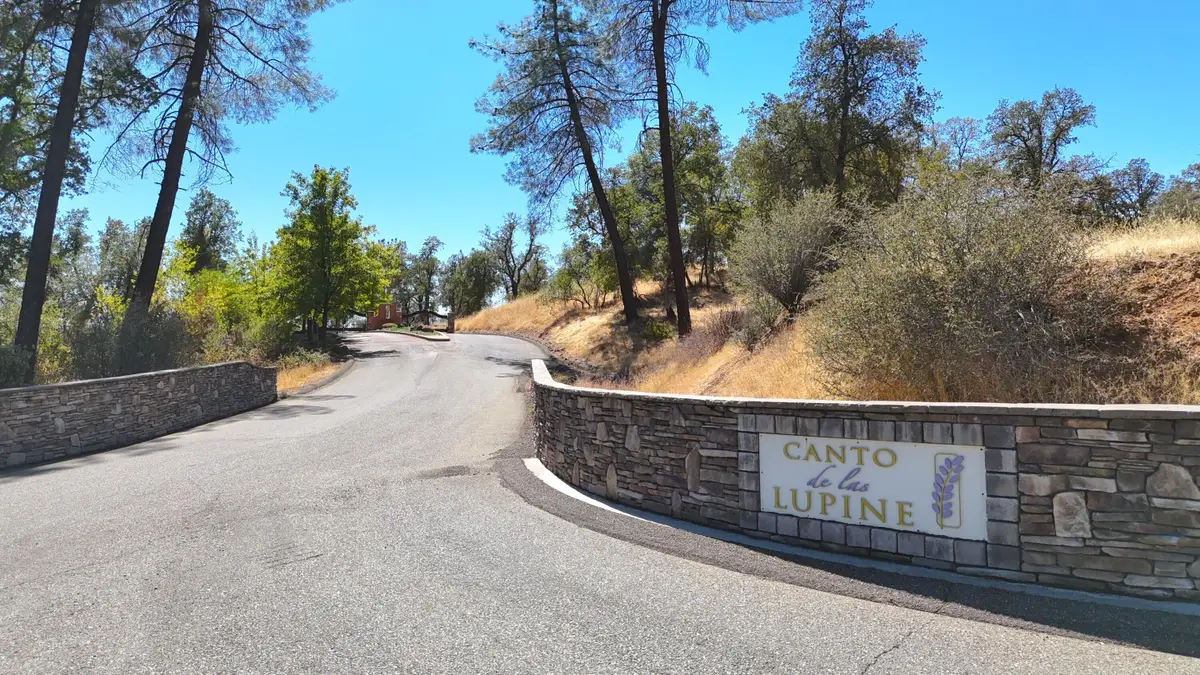 Canto De Las Lupine Drive, Redding, CA 96001 - #1