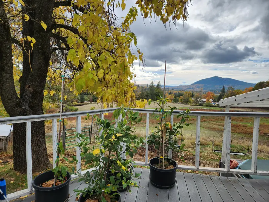 19277 Woodhill Drive, Montgomery Creek, CA 96065 - #2