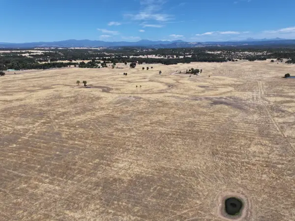 Millville Plains Road, Millville, CA 96062