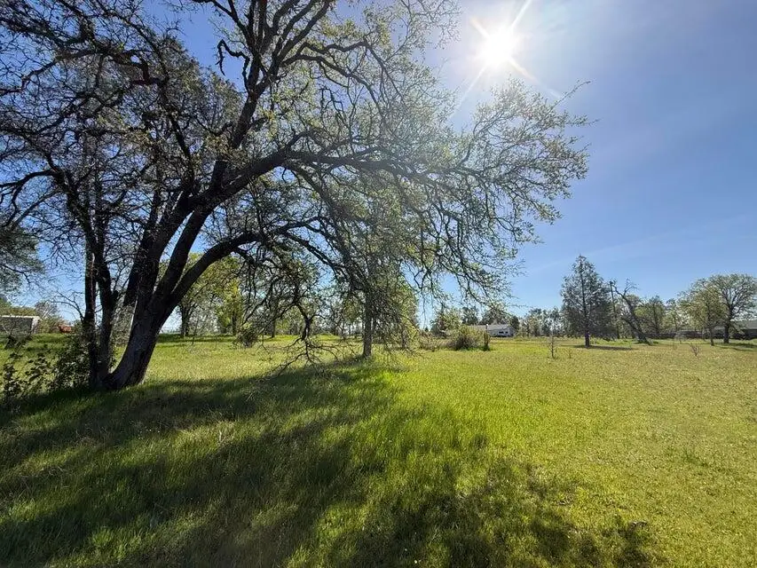 21752 Hidden Acres Road, Bella Vista, CA 96008 - #3