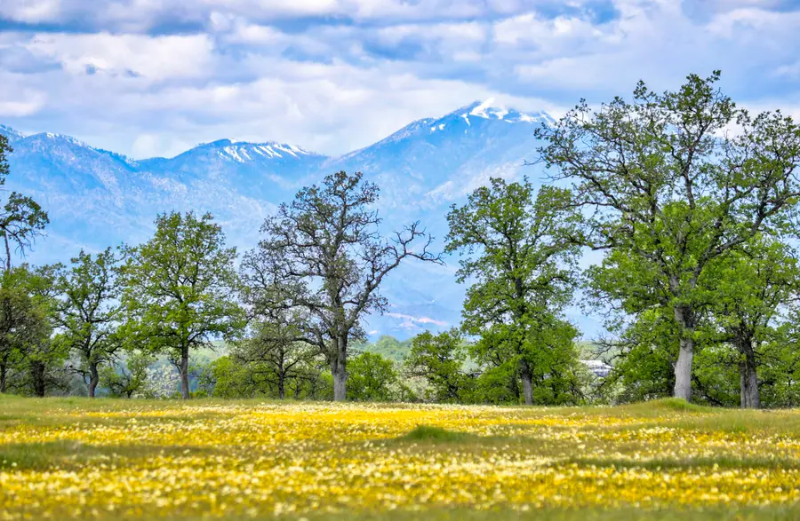 Lot 1 Mini Mesa Court, Palo Cedro, CA 96073 - Image #3