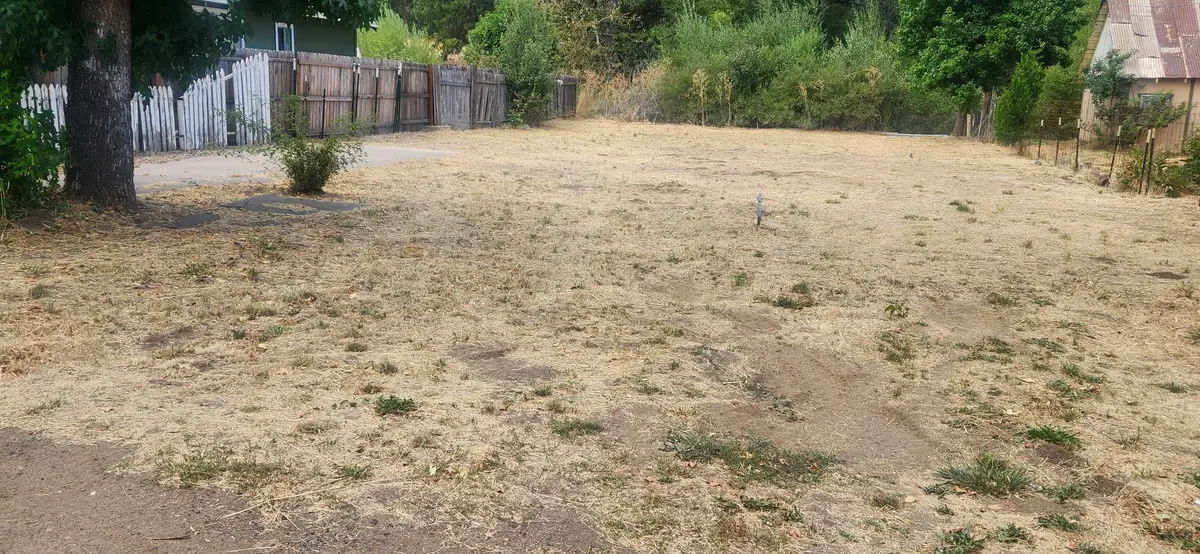 20438 Shasta Street, Burney, CA 96013 - #1