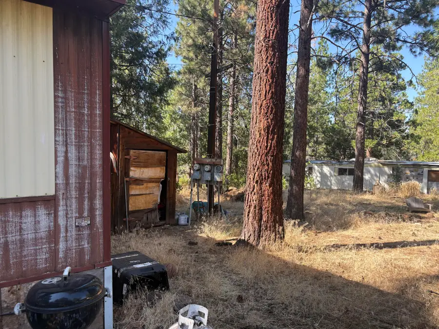 528-115 Clapper Place, McArthur, CA 96056 - #3