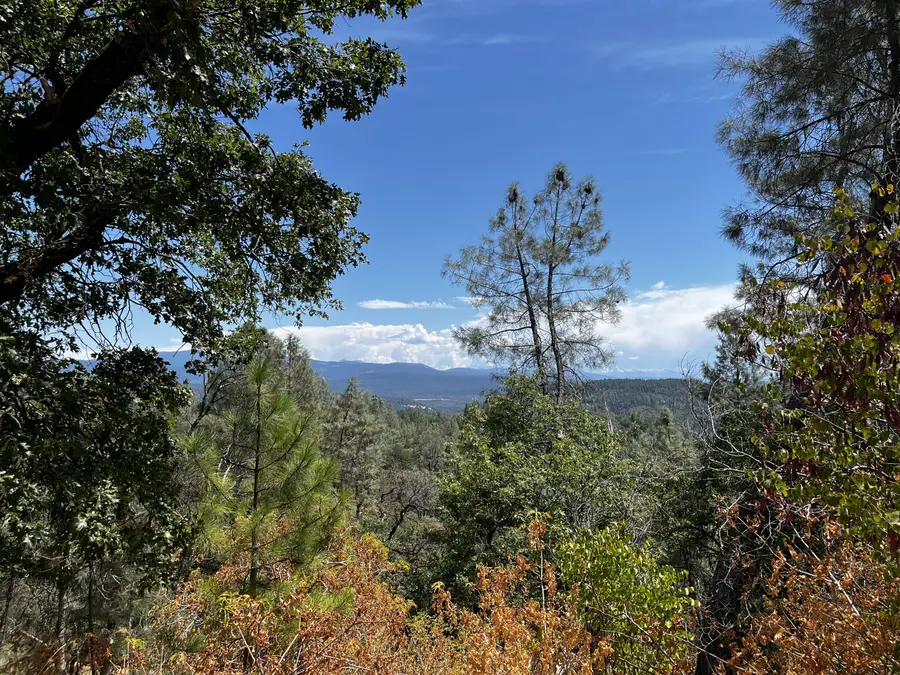 0000 Backbone Road, Bella Vista, CA 96008 - #2