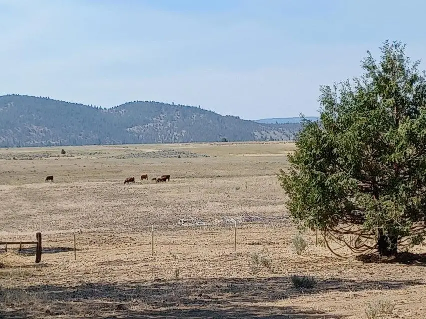557435 Center School House Road, Adin, CA 96006 - #2