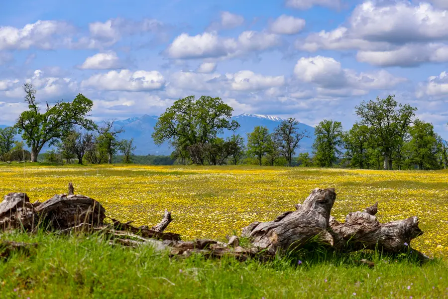 Bass Pond Road, Millville, CA 96062 - Image #3