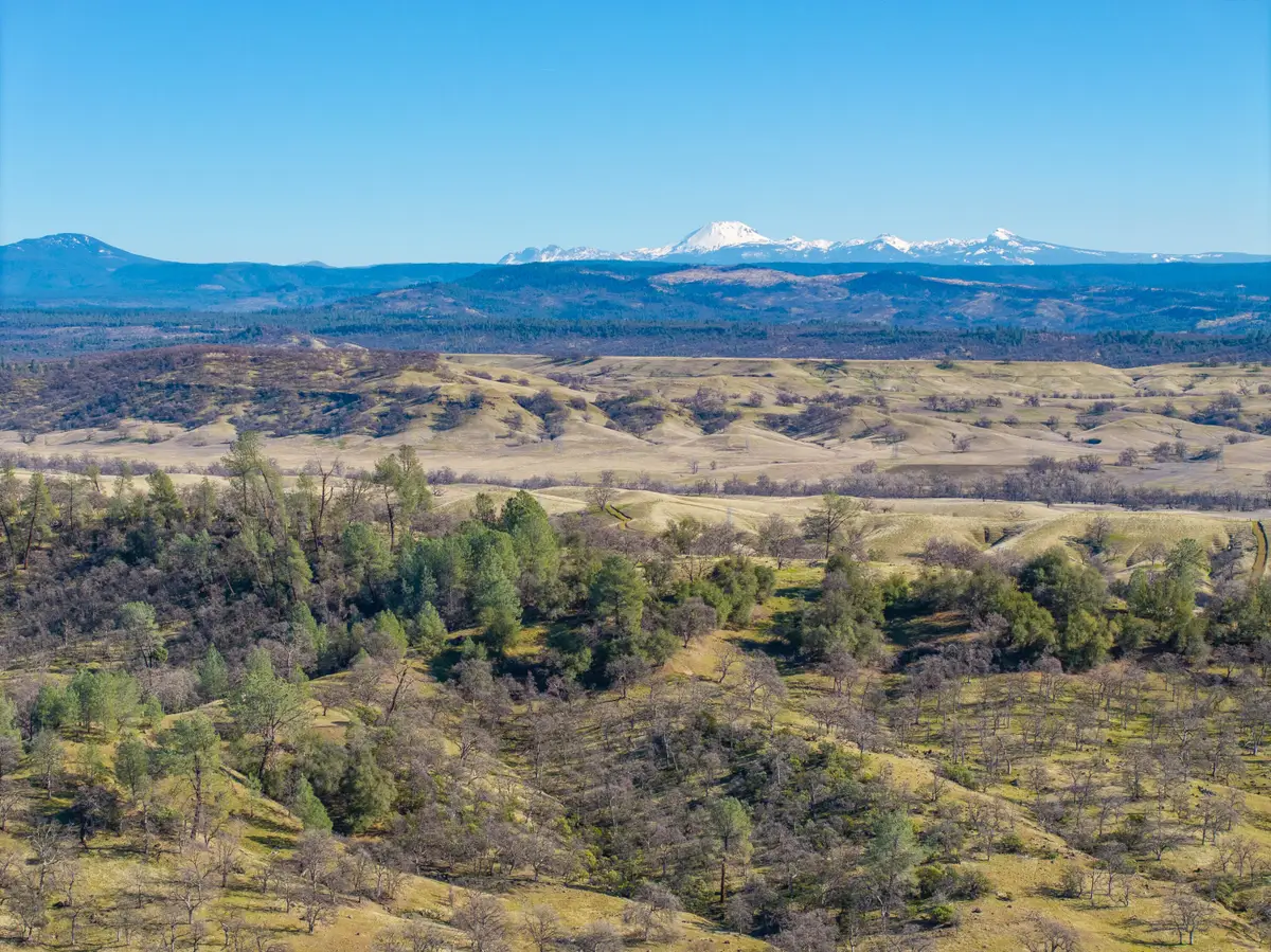 005 Beaver Road, Oak Run, CA 96069 - #1