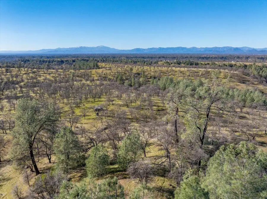 005 Beaver Road, Oak Run, CA 96069 - #3