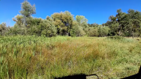 189 Acres Shingletown Ridge Road, Shingletown, CA 96088