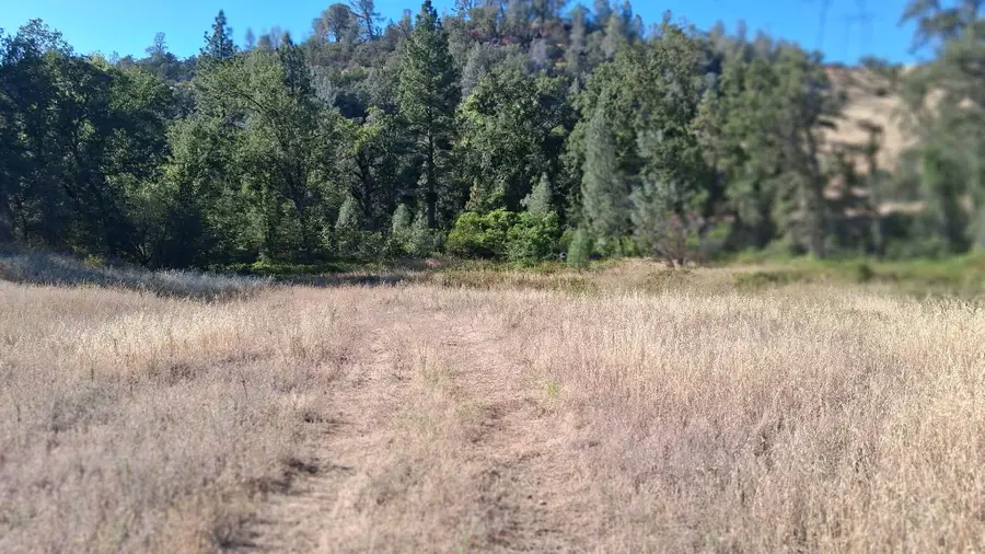 189 Acres Shingletown Ridge Road, Shingletown, CA 96088 - #3