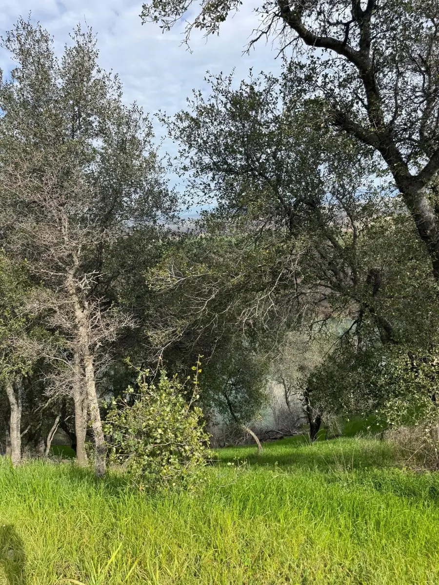 22738 River View Drive, Cottonwood, CA 96022 - #2