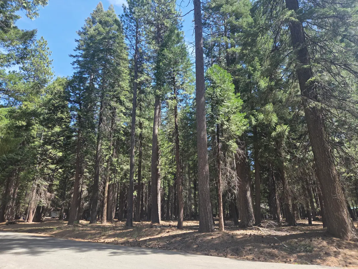 Lot # 6 Colossians Way, Shingletown, CA 96088 - #1