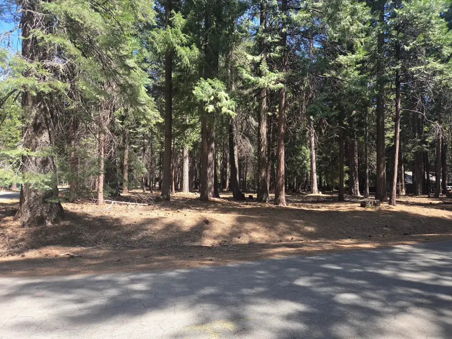 Lot # 6 Colossians Way, Shingletown, CA 96088 - #3