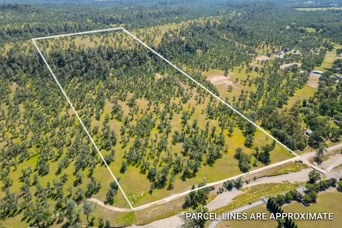 0000 Racoon Way, Oak Run, CA 96069 - #1
