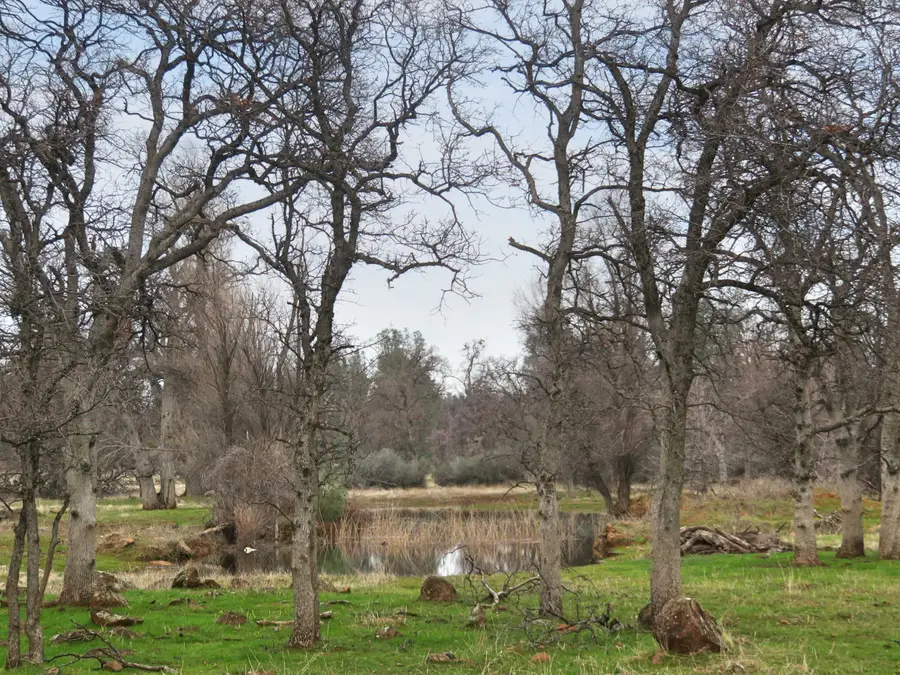 41 acres Ash Creek Road, Anderson, CA 96007 - #2
