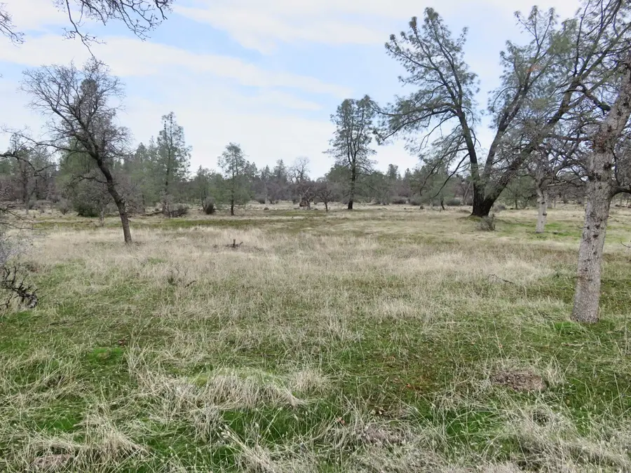 41 acres Ash Creek Road, Anderson, CA 96007 - #3