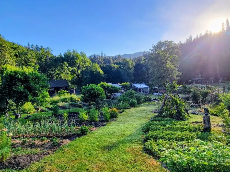 8480 St John Road, Hyampom, CA 96046 - #3