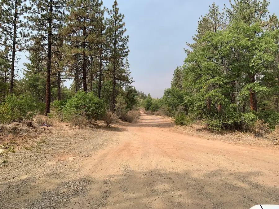 542-529 Little Valley Road, McArthur, CA 96056 - #3