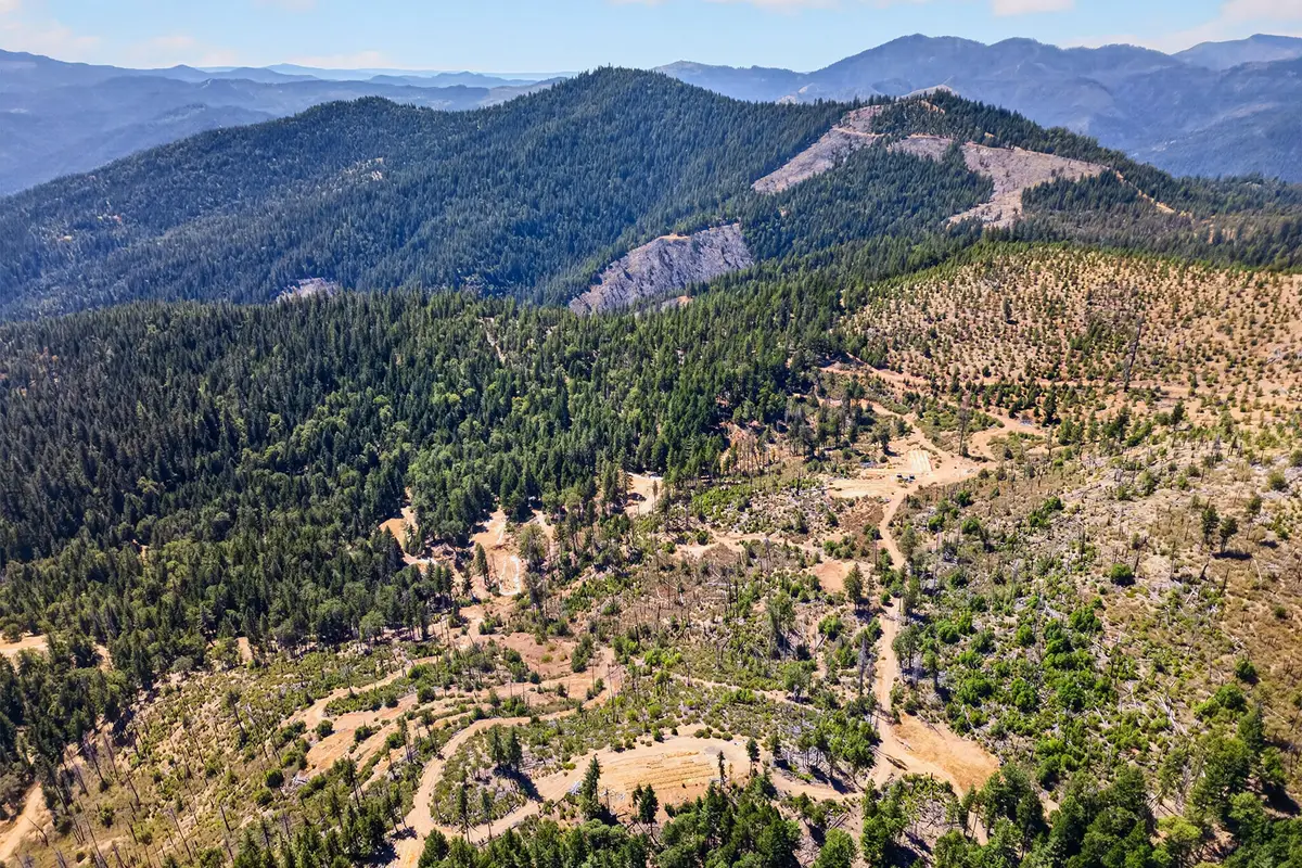 1120 W Upper Democrat Gulch Road, Weaverville, CA 96093 - #1