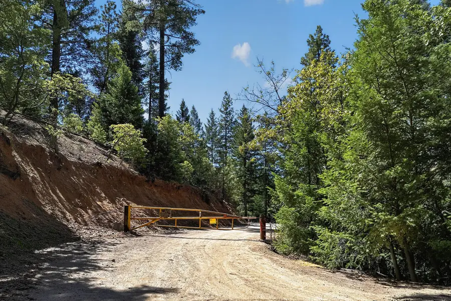 1120 W Upper Democrat Gulch Road, Weaverville, CA 96093 - #2