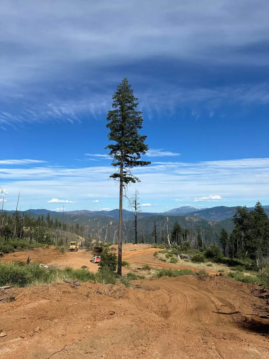 1120 W Upper Democrat Gulch Road, Weaverville, CA 96093 - #3