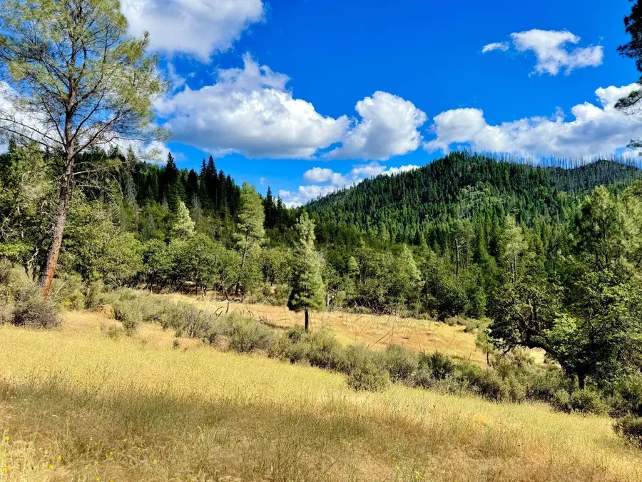 925 Kingsbury Road, Hayfork, CA 96041 - #2