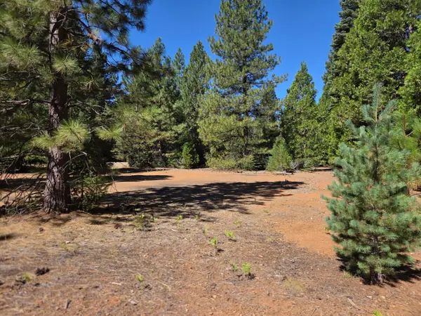 Lot 57 Nehemiah Drive, Shingletown, CA 96088