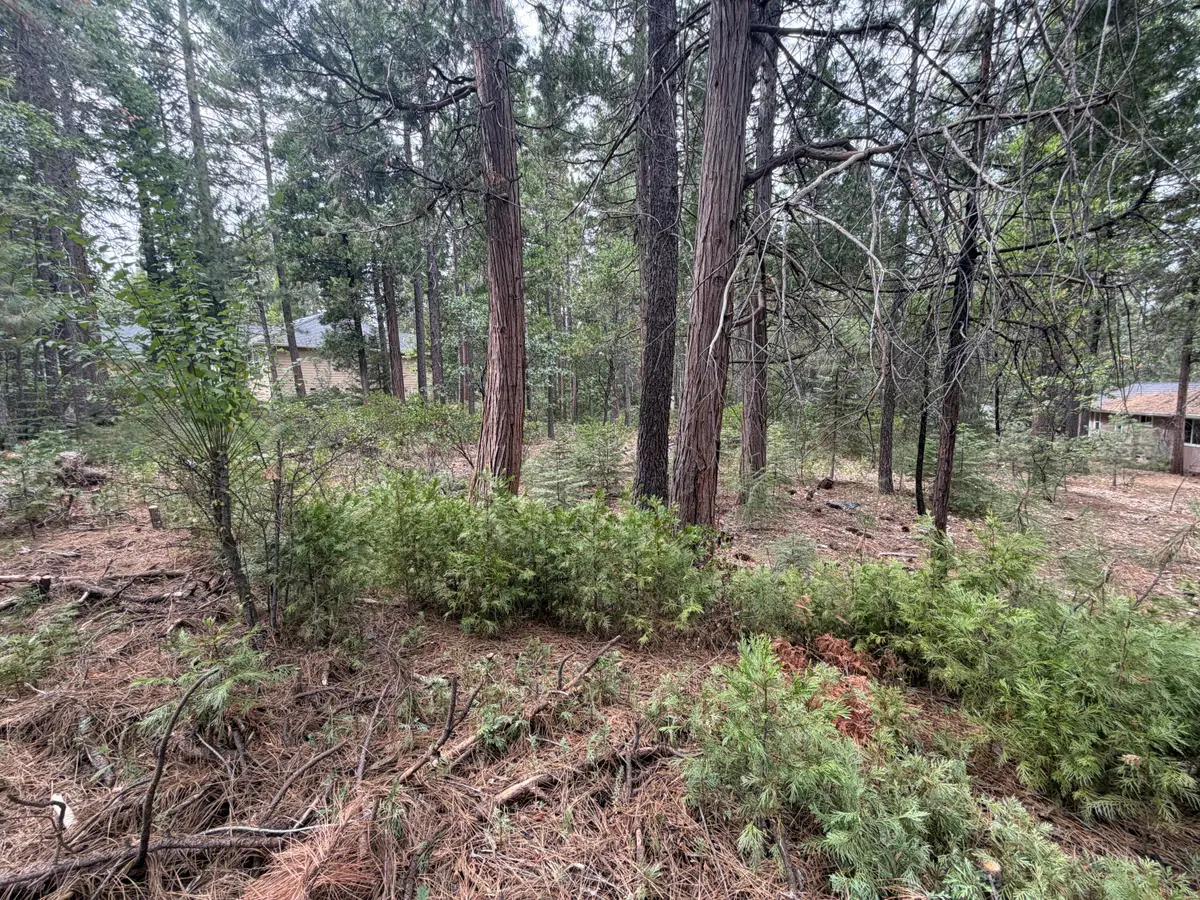 Timber Hill Drive, Burney, CA 96013 - #1