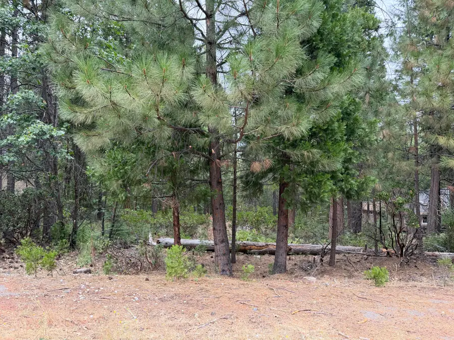 Timber Hill Drive, Burney, CA 96013 - #2