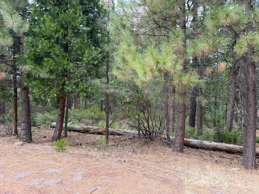 Timber Hill Drive, Burney, CA 96013 - #3