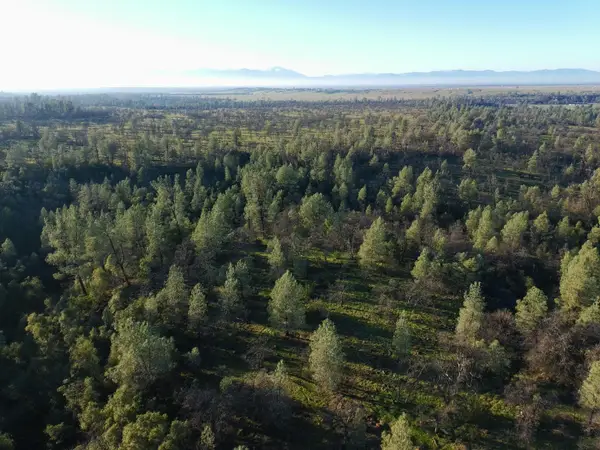 Buffalo Drive, Anderson, CA 96007