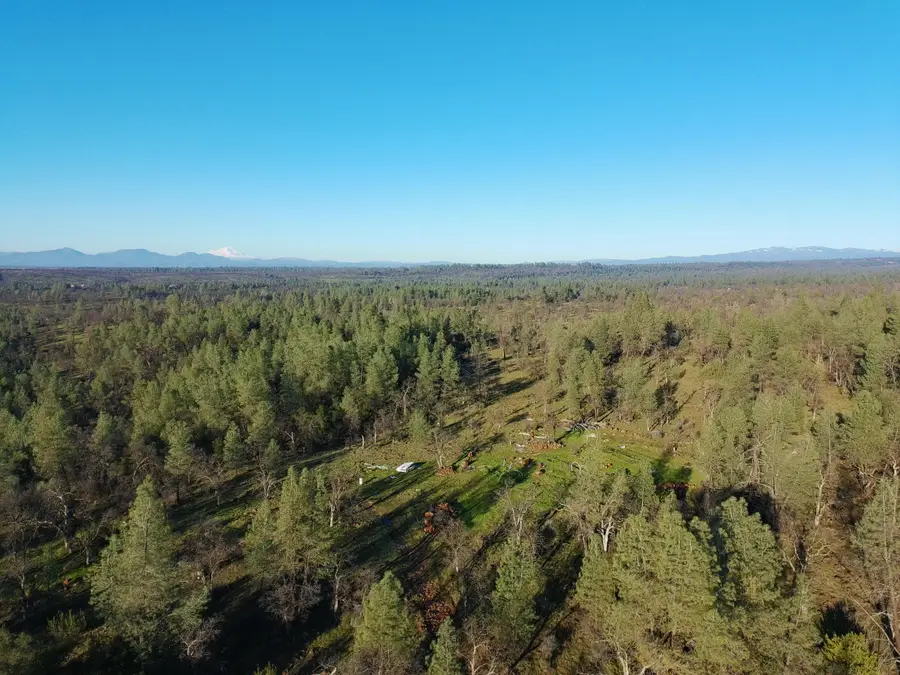 Buffalo Drive, Anderson, CA 96007 - #3
