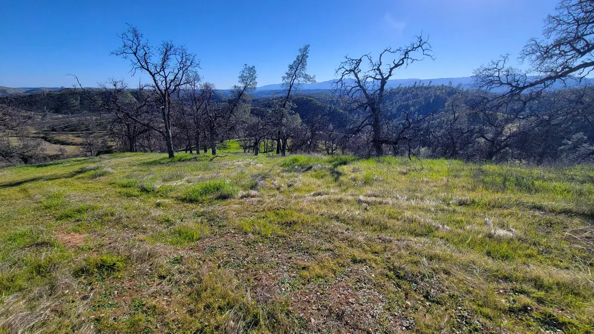 Lot 207 Fiddlers Road, Ono, CA 96047 - #1