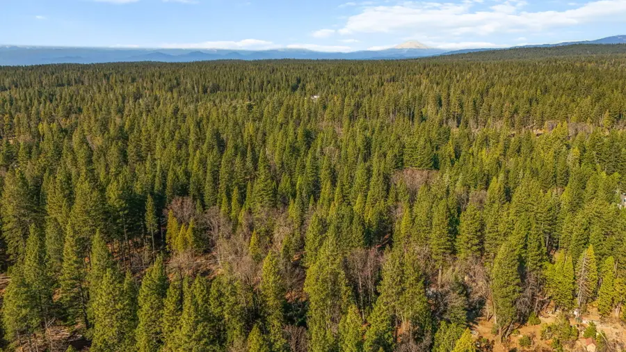 32833 California 44, Shingletown, CA 96088 - Image #2