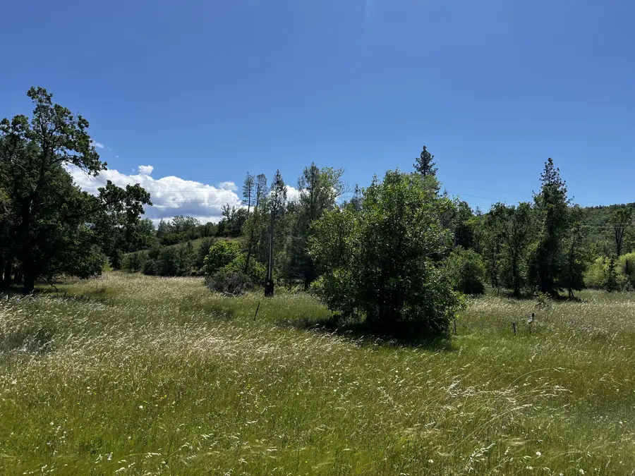 29609 Cedar Creek School Road, Round Mountain, CA 96084 - #2
