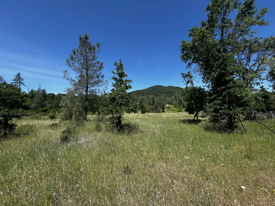 29609 Cedar Creek School Road, Round Mountain, CA 96084 - #3