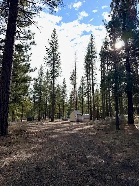 Deer Tracks Court, Old Station, CA 96071 - #2
