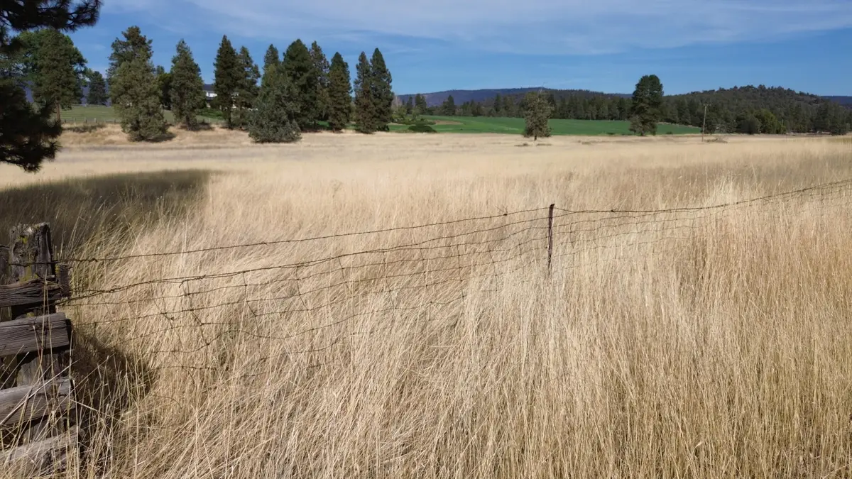 Lot 26-27 Pittville Road, McArthur, CA 96056 - #1