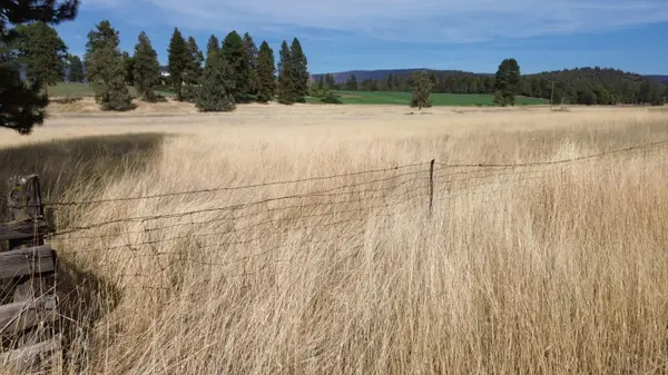 Lot 26-27 Pittville Road, McArthur, CA 96056