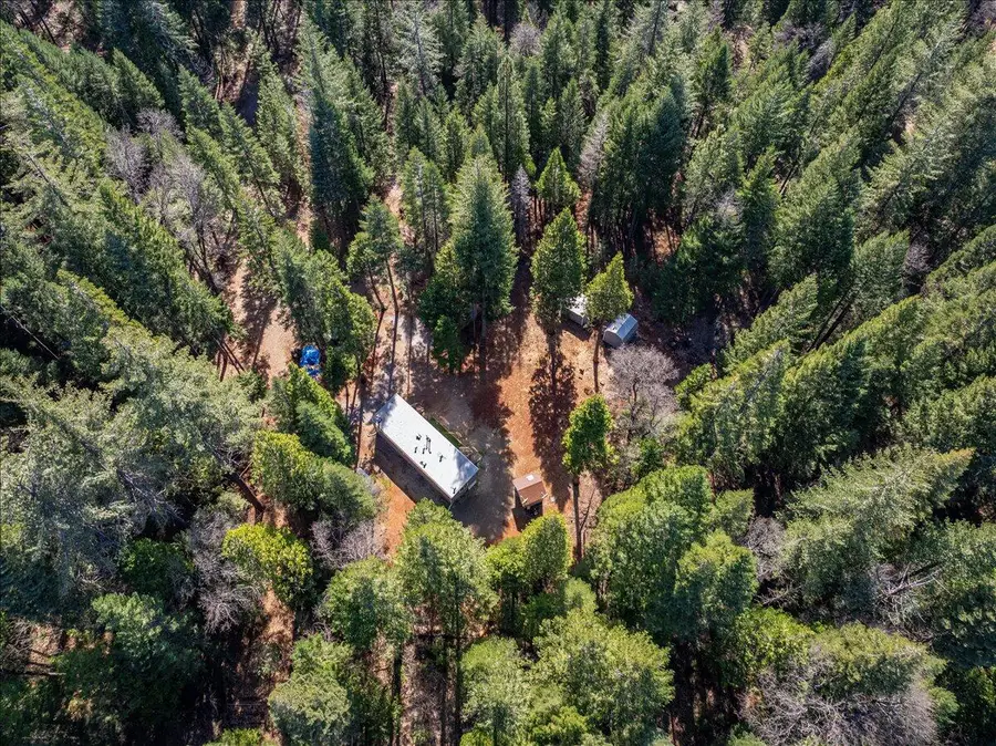 8495 Sky Tree Lane Lane, Shingletown, CA 96088 - #3