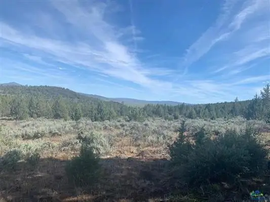 541-200 Juniper Trail, Madeline, CA 96119
