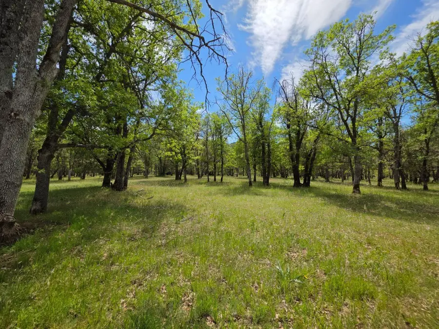 13660 State Highway 3, Hayfork, CA 96041 - #3