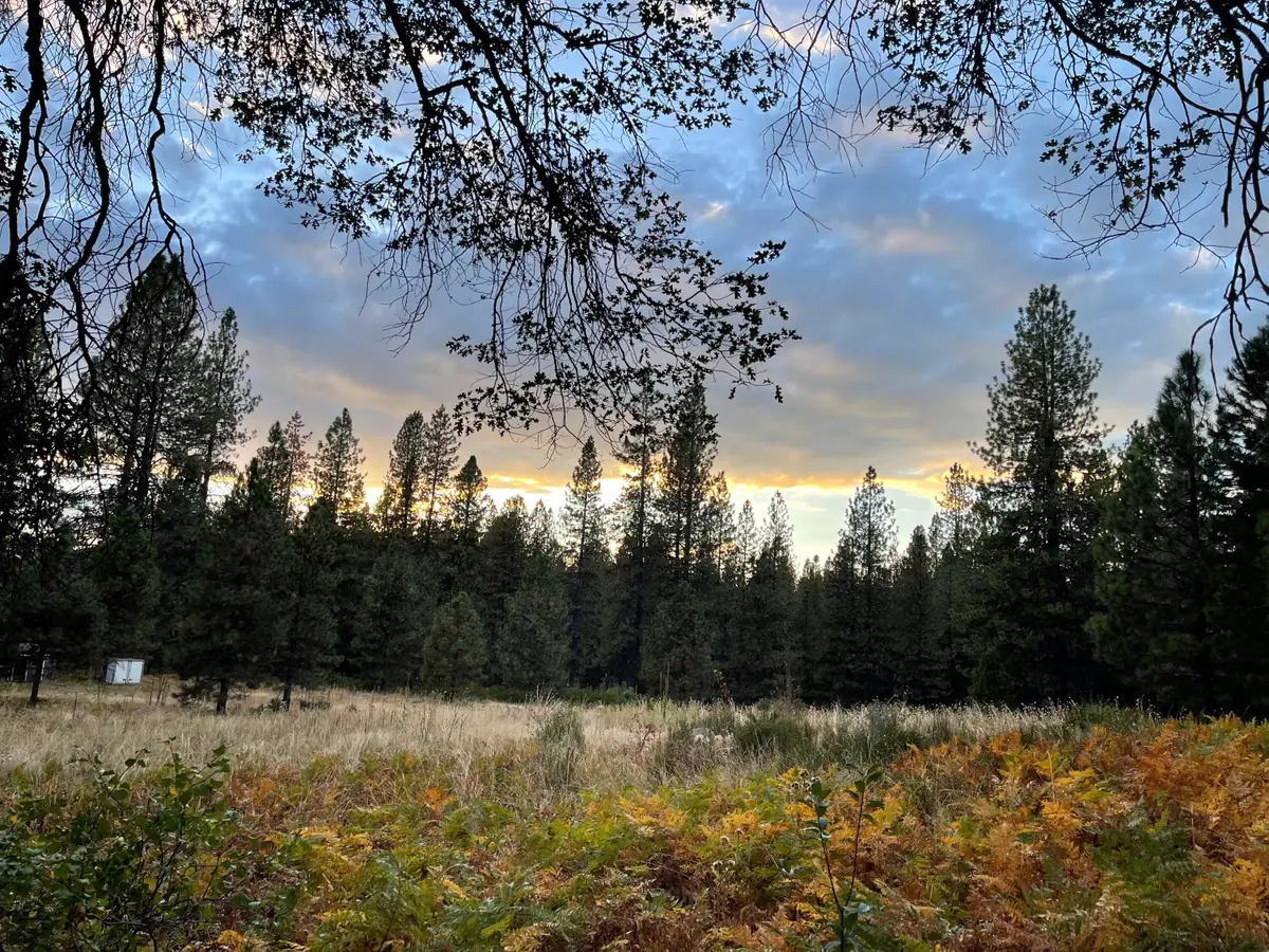 0000 Forest Road, McCloud, CA 96057 - #1