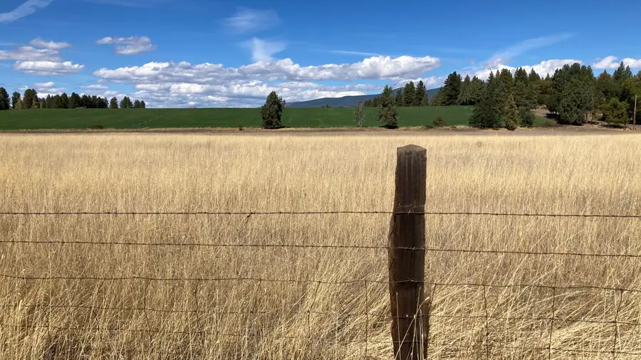 Lot 33-35 Pittville Road, McArthur, CA 96056 - #2
