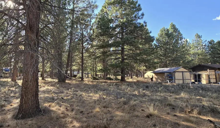 687-995 Hemlock Way, Susanville, CA 96130 - #3