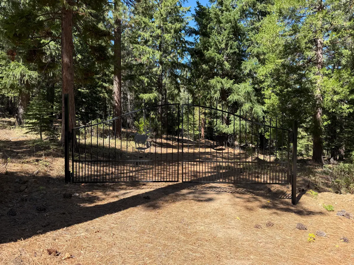 459-905 Janesville Grade, Janesville, CA 96114 - #1