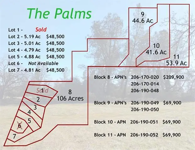 Lot 4 Palm Avenue, Happy Valley, CA 96007 - #2