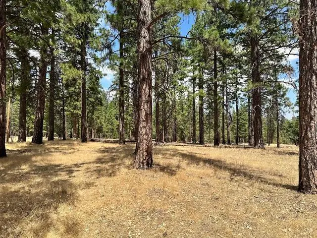 469-410 Childrens Road, Susanville, CA 96130 - #1