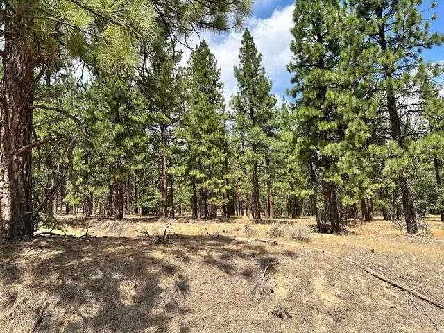 469-425 Childrens Road, Susanville, CA 96130 - #1